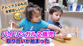 バイリンガル２歳児  おもちゃ争奪戦｜英語と日本語でナイトルーティン｜英語と日本語で子育て｜国際結婚 １日密着｜オンライン英会話｜ネイティブが使う日常英会話｜英語　勉強法｜TOEICリスニング