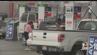 Hundreds Of Drivers Wait Hours To Get Free Gas In Norwood