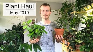 Huge Houseplant Haul | May 2019