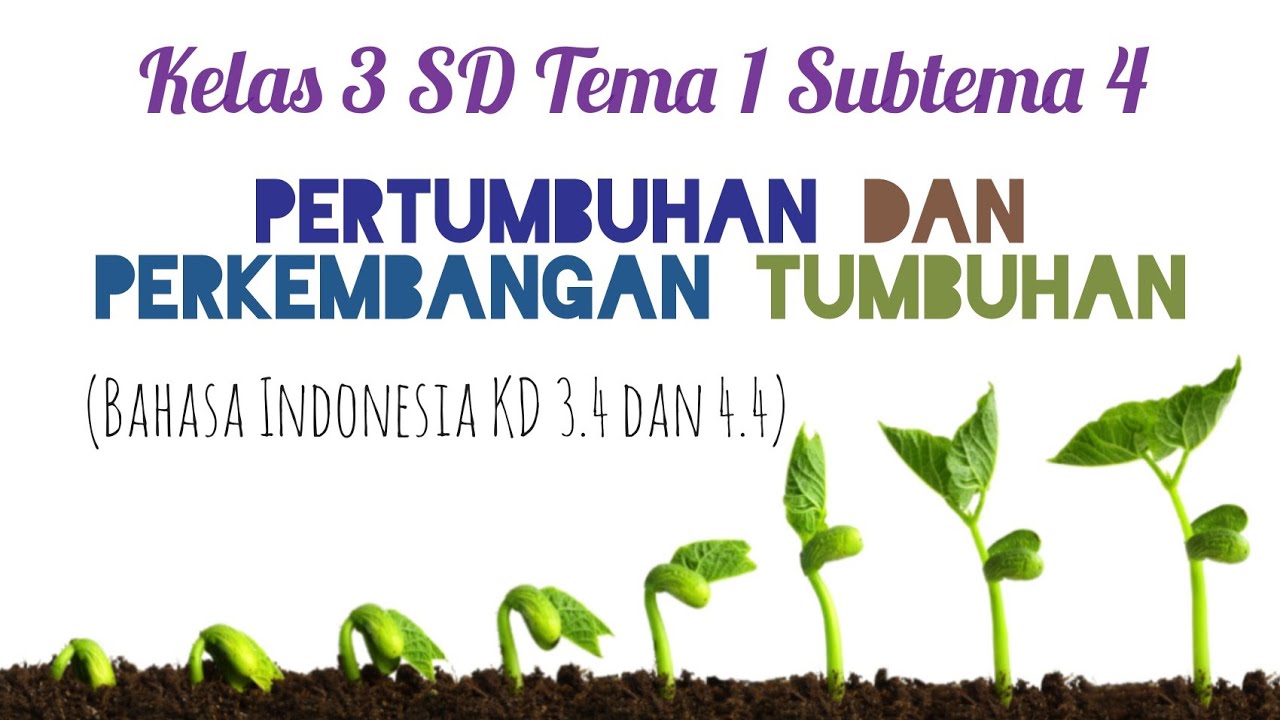 Materi Kelas 3 SD: PERTUMBUHAN DAN PERKEMBANGAN TUMBUHAN - YouTube