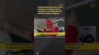 В Еврокомиссию поступают жалобы на Польшу из-за сильного загрязнения рек #shorts #short #новости