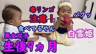 【成長目安】寸劇 男女双子赤ちゃん生後9ヶ月！白雪姫毒リンゴに注意Mix twins Snow White. I am careful about poisonous apples