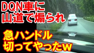 【スカッとする話】ＤＱＮ車が山道で煽ってきたので急ハンドル切ってやったｗ【SKTR】