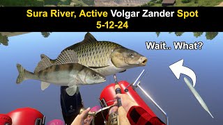 Russian Fishing 4, Sura River, Active Volgar Zander Spot5-12-24