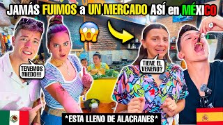 ESTE MERCADO de DURANGO **NOS DEJA en SHOCK**😱🇲🇽 ¡¡Comemos alacranes!!