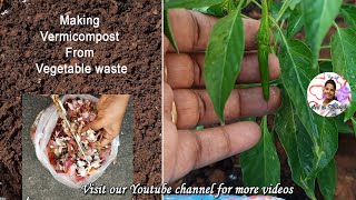 Making Vermicompost at home | இனிமேல் காய்கறி கழிவுகளை தூக்கி போடாதீங்க