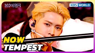 NOW - TEMPEST [Immortal Songs 2] | KBS WORLD TV 240511