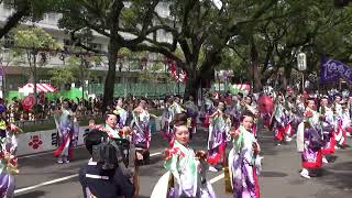 旭食品（よさこい祭り2014）本番1日目・追手筋南