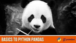 Python Pandas for Beginners | Data Science and Machine Learning Tutorial