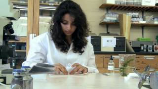Introduction to Digital Microscopy