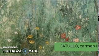 Catullo, carme II - Il passero