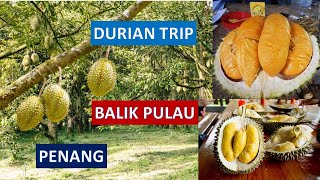 槟城浮罗山背的榴莲之旅/ Balik Pulau Durian Trip/ Penang