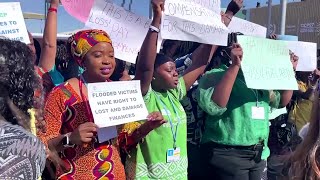 African protesters demand action from COP 27 climate  summit