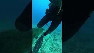 This diver was attacked by a shark #shortvideo