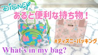 年パス歴12年が教える！ディズニーに行く際にあると便利な持ち物！What's in my bag?これで新エリアもバッチリ楽しめる♩