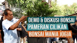 Bonsai Demo and Discussion at the Bonsai Mania Jogja Community Exhibition