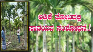 Divine Energy contribution in a nut garden | ಅಡಿಕೆ ತೋಟದಲ್ಲಿ ದಿವ್ಯ ಶಕ್ತಿಯ ಆಟ..! #microbitv