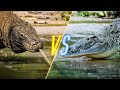 Komodo Dragon VS Crocodile