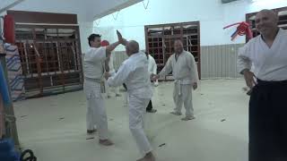 Ai hanmi katatedori - Tai jutsu - Aikido