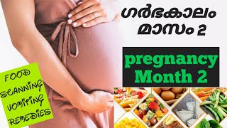 second month of pregnancy|Baby Development|ഗർഭകാലം രണ്ടാം മാസം|pregnancy 2 month|first trimester