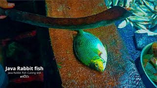 Java Rabbit fish | java rabbit Fish Cutting | Rare Java Rabbit fish | ජෙට්ටා | CUTTING SKILL | SL sl