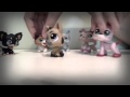 "Underdog" Music vid lps.