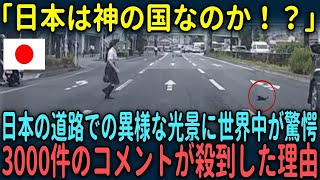 【海外の反応】「日本は異世界だ！」日本の道路での光景に世界中からコメントが殺到した理由【総集編】