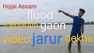 Hojai Assam flood | theplaguri gaon video jarur dekhe @Hojailora