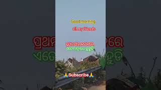 ଆଜି କଟକରେ ଅଧିକ ମାତ୍ରାରେ କୁହୁଡି #travel #viralshort#love#ajukumar9969 #subscribeme#viralvideo#shorts