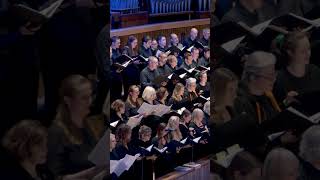 Carol of the Bells - with the London Philharmonic Choir