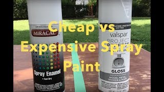 Cheap Spray Paint vs Expensive Spray Paint  Test: Side By Side Comparison