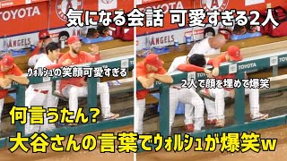 気になる会話 大谷さんがウォルシュに何か言ったら爆笑w  可愛すぎる２人  エンゼルス Angels  大谷翔平 Shohei Ohtani 現地映像