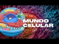 Explorando el Intrigante Mundo Celular │ FISIO