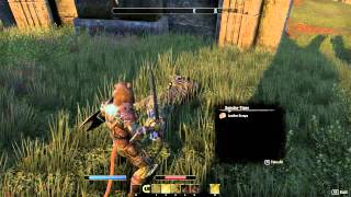 The Elder Scrolls Online - Developer Play Session: Blacksmithing in Tamriel | HD