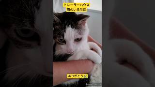 トレーラーハウス　猫のいる生活