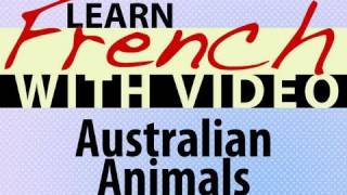 Learn French with Videos - Australian Animals