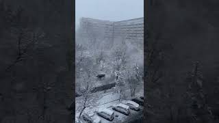 Beautiful Snowfall | Winter in Almaty | kazakhstan | Plan your trip with Plushvoyages