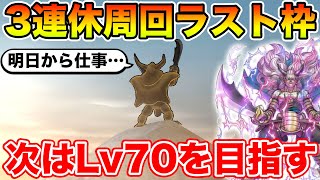 【ドラクエウォーク】3連休最後のレベリングします!! さよなら休日!!【DQW】