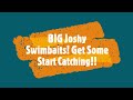 Big Joshy Swimbaits Fish Catching Machines!! Deadly cold water swimming action!! #swimbait