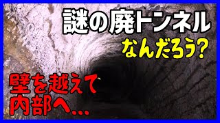 【廃トンネル】とにかく謎～南房総に残る素掘りの廃隧道 [字幕あり]