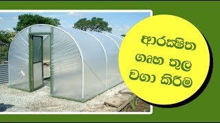 Poly Tunnel - Sinhala | ආරක්‍ෂිත ගෘහ තුල වගා කිරීම | Citigardens Sri lanka