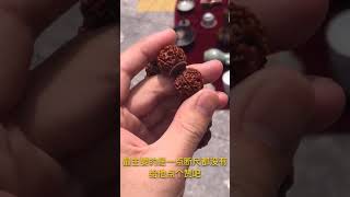 金刚菩提的盘玩，一点断齿都没，赶紧取取经！