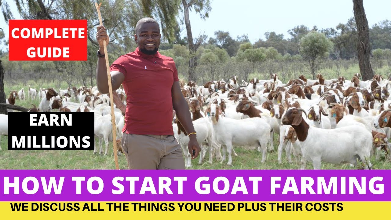 How To START A Profitable GOAT FARMING Business And Make MILLIONS - YouTube