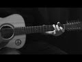 lieblingsfarben und tiere – element of crime cover – 12string strumming