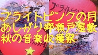 あしがり郷瀬戸屋敷 6 恋のﾊﾞｶﾝｽ　ブライトピンクの月