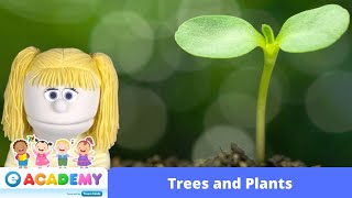 Trees and Plants | Growth of a Tree | STEM Songs for Kids | Kindergarten | Learn English | Preschool