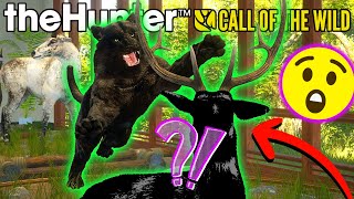 Hunting a CRAZY RARE to Complete an INSANE MULTIMOUNT! | Call of the Wild