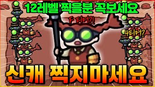 운빨겜 신캐 지지 역대급입니다 12렙 찍을분 꼭 보세요! 신화석 아낍니다 (운빨존많겜)