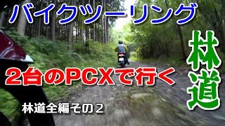 バイクツーリング　２台のPCXで行く　林道チャレンジ、ラーツー、コーヒーツーだ！　兵庫県宝塚市・川辺郡　林道全編その２