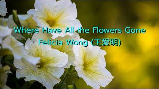 Where have all the flowers gone? - Felicia Wong (王愛明)